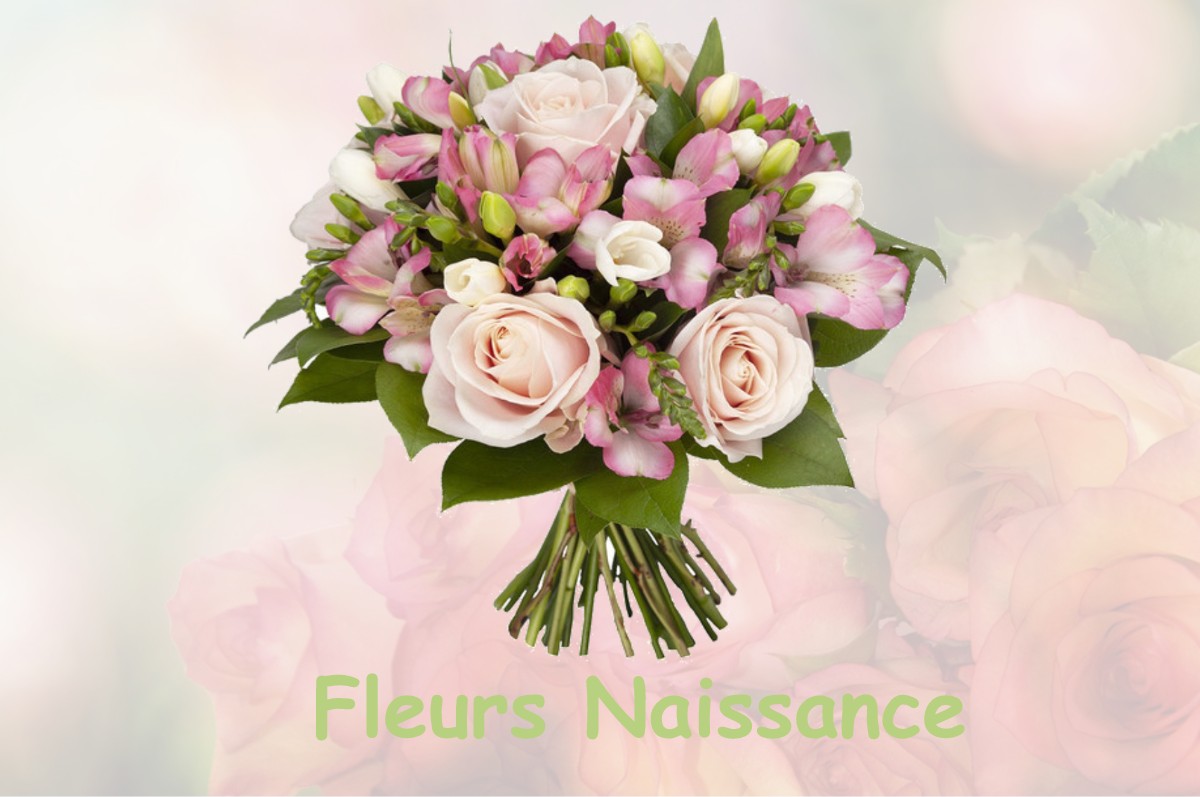 fleurs naissance BOISSEY-LE-CHATEL